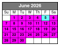 2 Hour Dolphin Sightseeing Tour with Capt. Zach's Adventures June Schedule