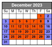 Private Individual 1-Hour Jet Surfing in Panama City Beach December Schedule