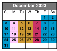 Stand Up Paddle Board Lesson in Panama City Florida December Schedule