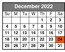 Savannah Riverboat Harbor Sightseeing Cruise (No Meal Included) December Schedule