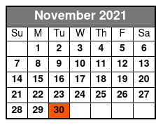 A Walk through Midnight November Schedule
