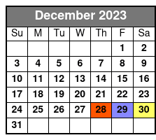 Group Tour December Schedule