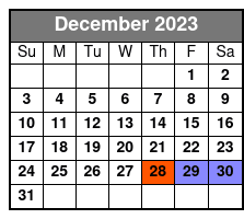 Savannah Aerial Yoga Class December Schedule