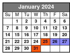 Savannah Aerial Yoga Class January Schedule
