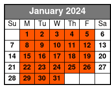 Charleston Harbor Guided Cruise January Schedule