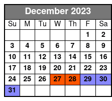 Private Professional Holiday Photoshoot in Charleston December Schedule