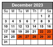eBike Tour (Meet) December Schedule