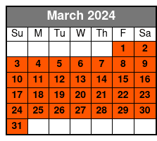 Hidden Valley and Primm Valley Extreme RZR Tour from Las Vegas March Schedule