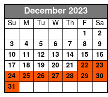 David Copperfield Category C Seating December Schedule