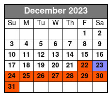 David Copperfield Category E Seating December Schedule