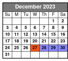 Big Bus Las Vegas Night Tour December Schedule