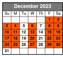 11:00 December Schedule