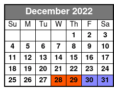 Supernatural Walking Tour December Schedule