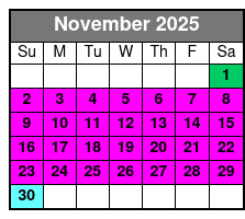 2 Hours Sunset Sail Aboard 50' Sy Ohana November Schedule