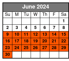 Skywheel Flight June Schedule