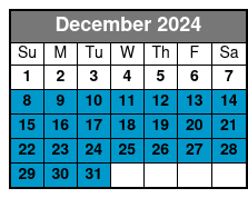 Snorkel Cruise on Island Time December Schedule