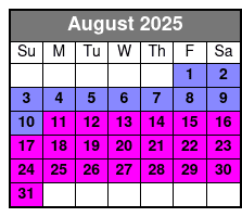 Shell Island Snorkel & Dolphin Cruise August Schedule