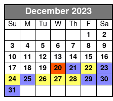 Mild and Wild Four Hour RZR Ride December Schedule