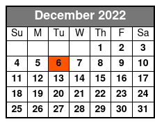 Half-Day Self-Guided Electric Bike Tour December Schedule