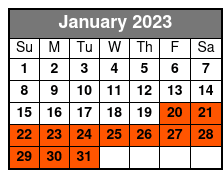 Half-Day Self-Guided Electric Bike Tour | Lake Tahoe's Iconic East Shore Trail January Schedule