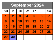 Tahoe Coastal Self-Guided E-Bike Tour - Full-Day | World Famous East Shore Trail September Schedule