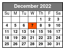 Full-Day Self-Guided Electric Bike Tour | Lake Tahoe's Iconic East Shore Trail December Schedule