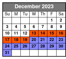 Segway Beach Ride in Daytona Beach December Schedule