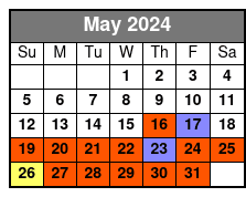 Segway Beach Ride in Daytona Beach May Schedule