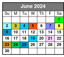 Mini Boat for 2 June Schedule