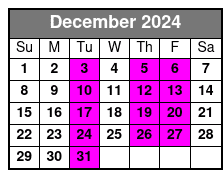 Sunset Celebration Dolphin Cruise December Schedule