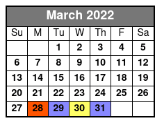 Hilton Head Island Jet Ski Tour March Schedule