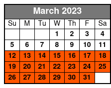 Dolphin Ocean Cruise: Ocean Dolphin Cruise 4pm 16:00 March Schedule