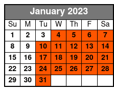 Dolphin Ocean Cruise: Ocean Dolphin Cruise 14:00 January Schedule
