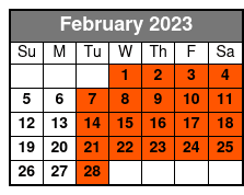Dolphin Ocean Cruise: Ocean Dolphin Cruise 14:00 February Schedule