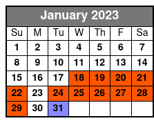 Atomic Vr Arcade January Schedule