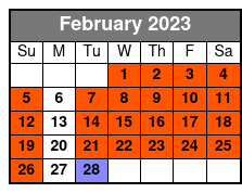 Atomic Vr Arcade February Schedule