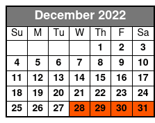 4-Hour Private Hilton Head Pontoon Boat Rental December Schedule