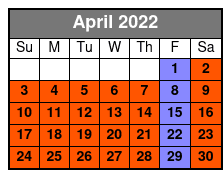 Avocado Electric Beach Cruiser Rental at Hilton Head Island April Schedule