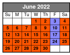 Avocado Electric Beach Cruiser Rental at Hilton Head Island June Schedule