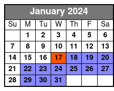 Avocado Electric Beach Cruiser Rental at Hilton Head Island January Schedule