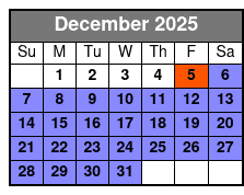 Private Professional Vacation Photoshoot in Fort Lauderdale December Schedule