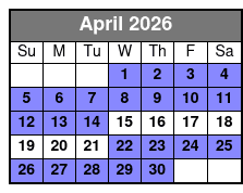Miami Small Group Tour from Fort Lauderdale W/Millionaire's Row April Schedule