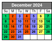 2 Hours Private Paddleboard Activity December Schedule