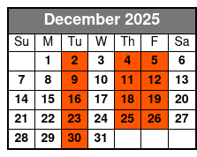 Miami Beach Eden Adventure December Schedule