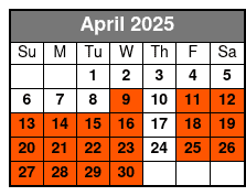 2 Hours Electric Bike Experience on Ft Lauderdale April Schedule