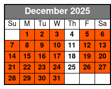 2 Hours Electric Bike Experience on Ft Lauderdale December Schedule