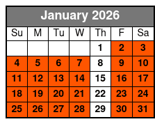 2 Hours Electric Bike Experience on Ft Lauderdale January Schedule