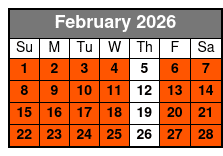 2 Hours Electric Bike Experience on Ft Lauderdale February Schedule