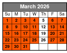 2 Hours Electric Bike Experience on Ft Lauderdale March Schedule