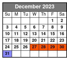 Speedboat Tour December Schedule
